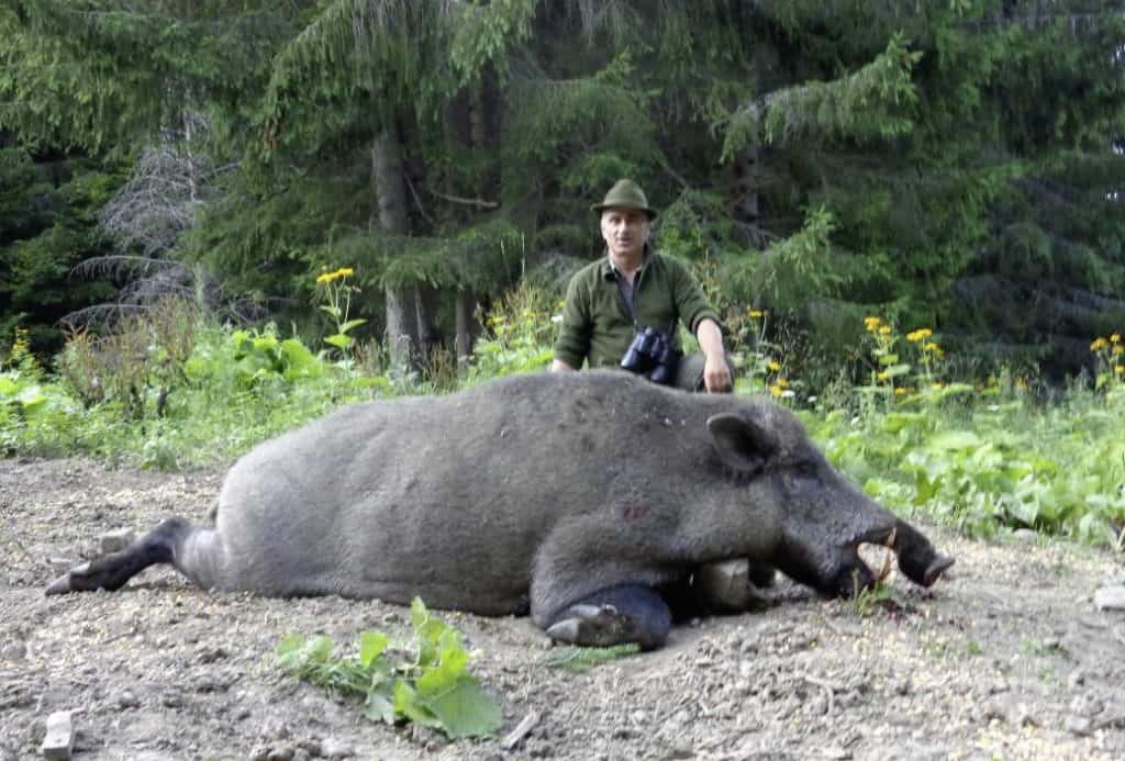 ONLY TO BE USED WITH ARTICLES ABOUT THE BUSINESS: ROMANIA HUNTING OUTFITTERS